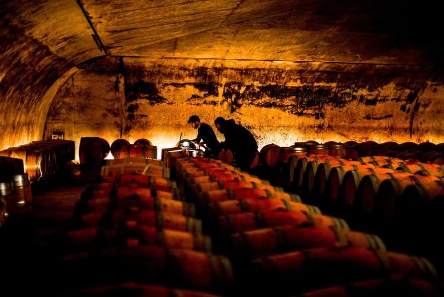 From Saint-Emilion : Half Day Electric Bike Tour - How the price compares with the experience