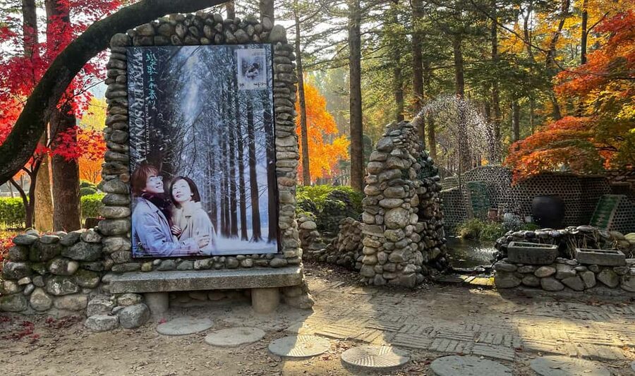 From Seoul: Nami Island, K-drama Garden & Rail Bike Day Tour - Should you book it?
