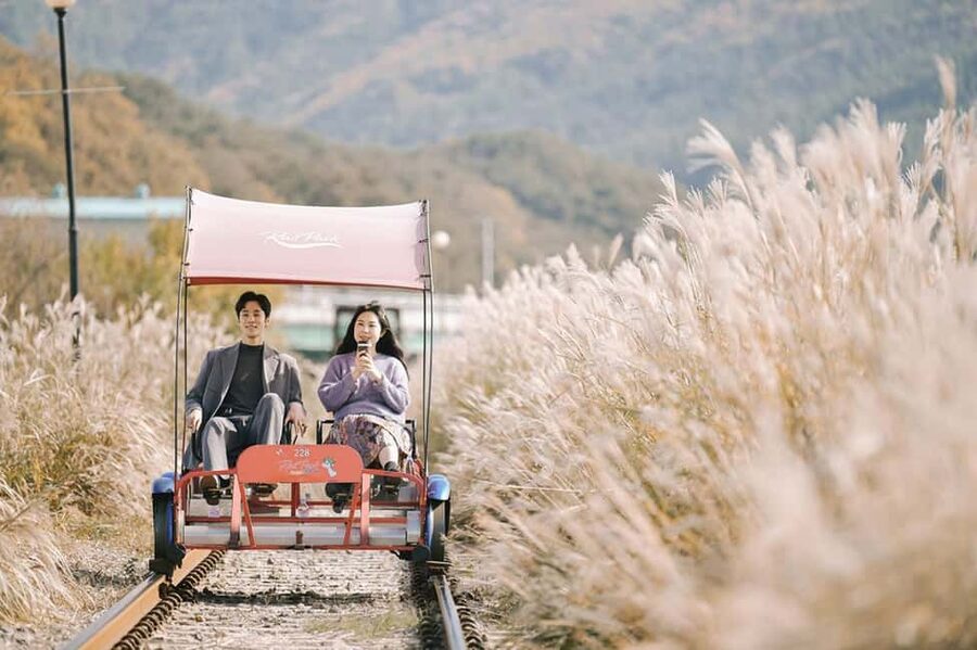 From Seoul: Nami Island, K-drama Garden & Rail Bike Day Tour - Garden of Morning Calm: flowers, paths, and seasonal color