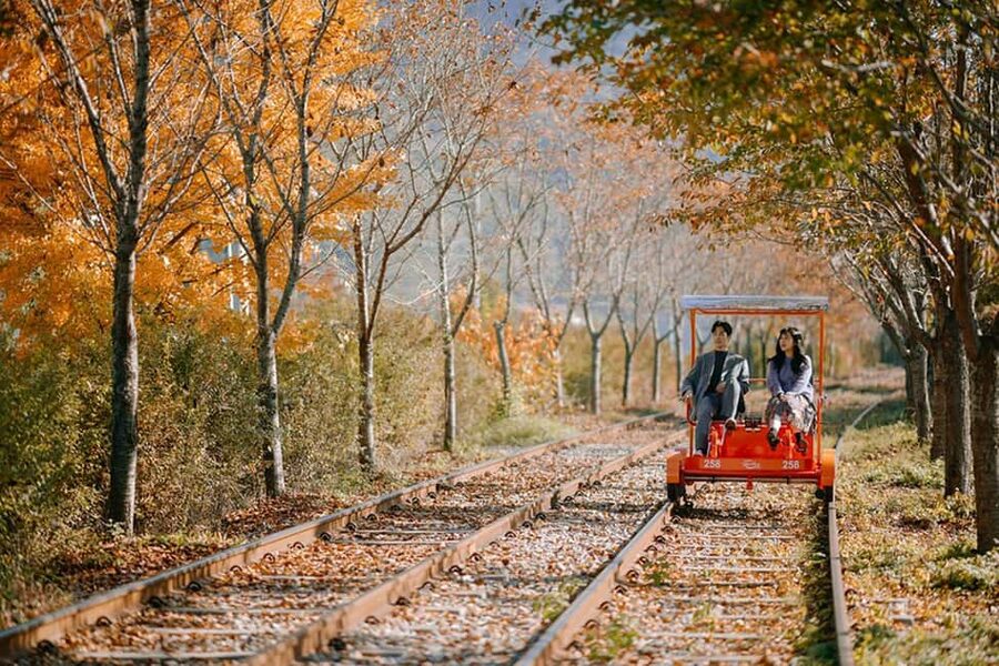 From Seoul: Nami Island, K-drama Garden & Rail Bike Day Tour - Gangchon Rail Bike beside the North Han River