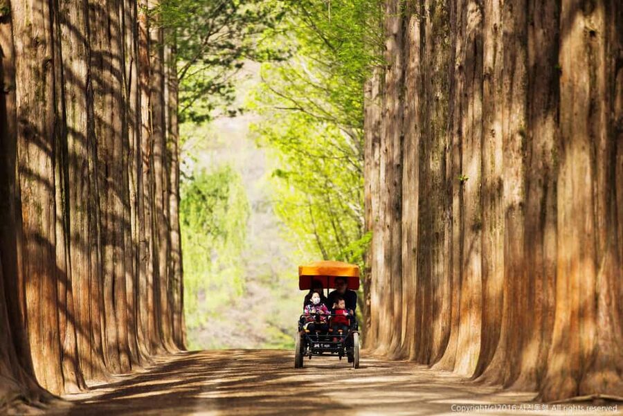 From Seoul: Nami Island, K-drama Garden & Rail Bike Day Tour - Guides, transport, and the rhythm of the day