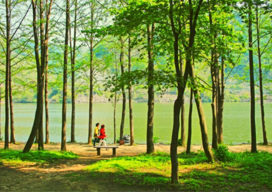 From Seoul: Nami Island, K-drama Garden & Rail Bike Day Tour - Who should book this countryside day trip?