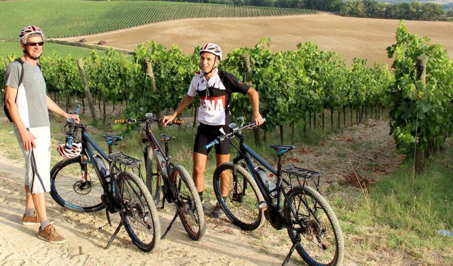 From Siena: Chianti Countryside E-Bike Tour w/ Lunch & Wine - Starting at Siena Train Station