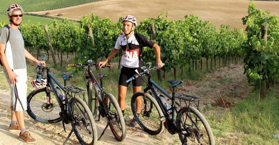 From Siena: Chianti Countryside E-Bike Tour w/ Lunch & Wine - Three Hours on Quiet Chianti Roads
