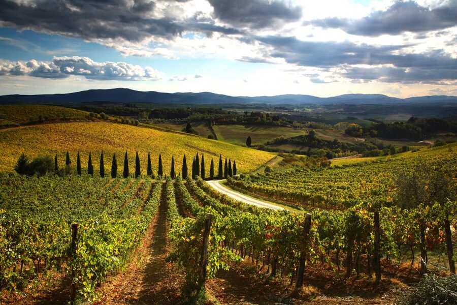 From Siena: Chianti Countryside E-Bike Tour w/ Lunch & Wine - Guides Who Shape the Day