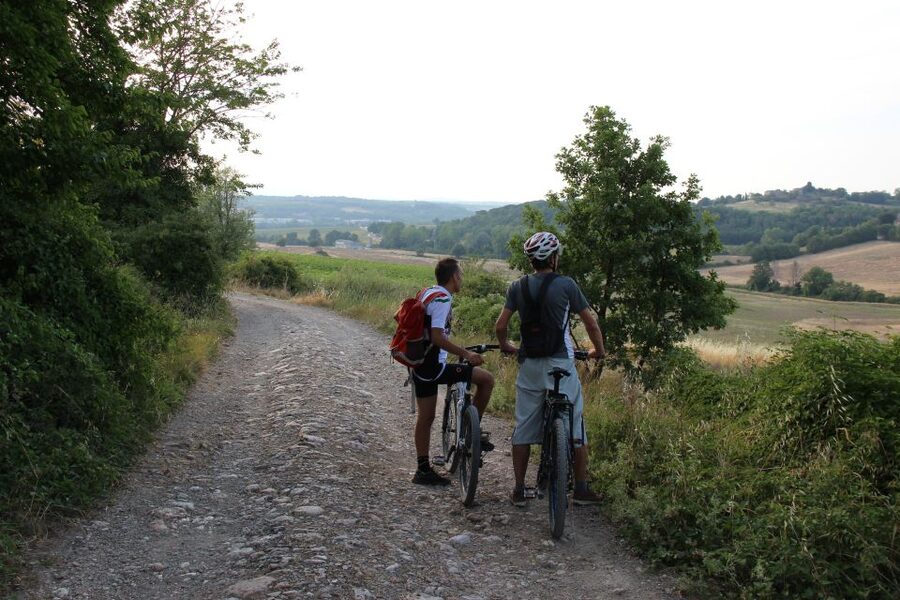 From Siena: Chianti Countryside E-Bike Tour w/ Lunch & Wine - Weather, Timing, and Practical Value