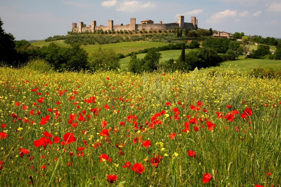 From Siena: Chianti Countryside E-Bike Tour w/ Lunch & Wine - Monteriggioni and Its 13th-Century Walls