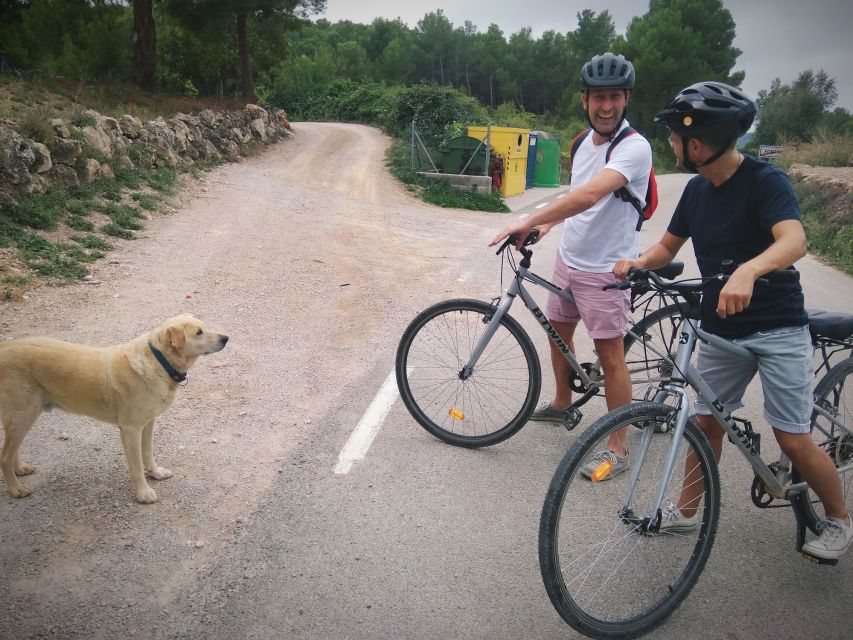 From Sitges: Cycling Tour with Winery visit and Tasting - Alex makes the day work