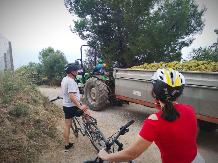 From Sitges: Cycling Tour with Winery visit and Tasting - Practical value at $100 per person