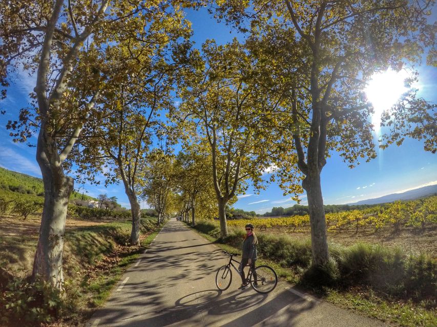 From Sitges: Paella Masterclass, Bike Ride and Winery Visit - What the five-hour schedule feels like