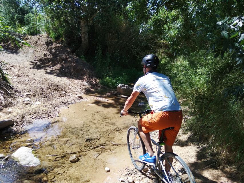 From Sitges: Paella Masterclass, Bike Ride and Winery Visit - Who will enjoy this outing most?