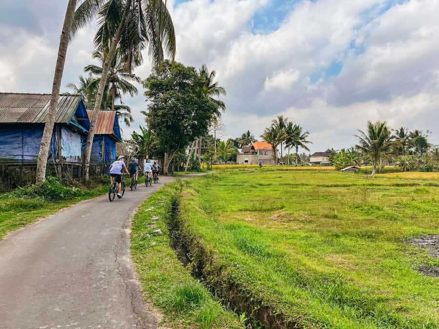 From Ubud: Downhill Bike Tour with Rice Terraces and Meal - Coffee plantation, breakfast, and the first taste of Bali