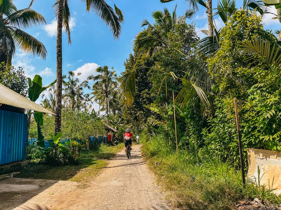 From Ubud: Downhill Bike Tour with Rice Terraces and Meal - The downhill route and how hard it really is