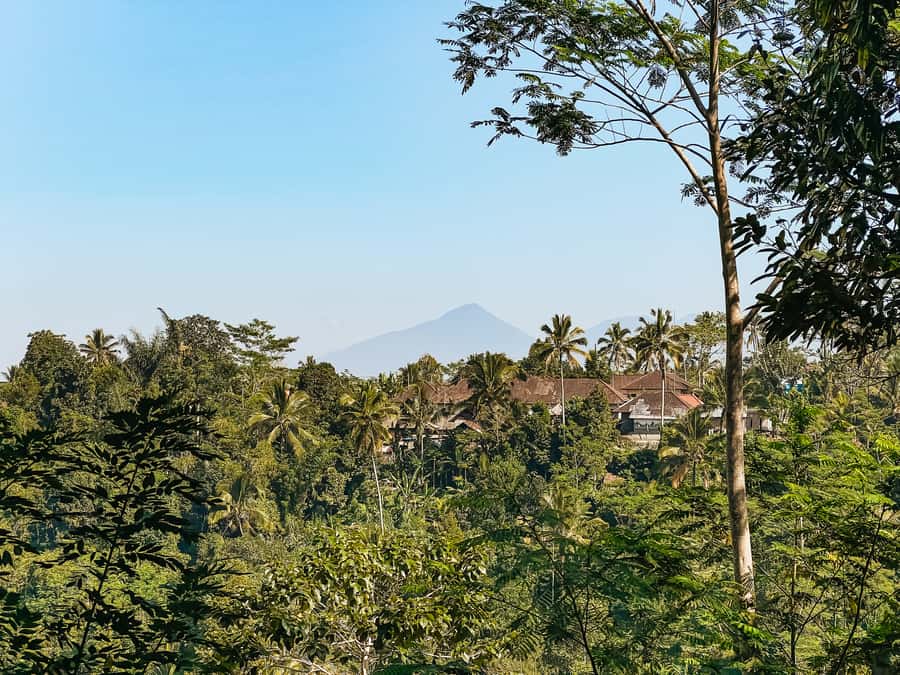 From Ubud: Downhill Bike Tour with Rice Terraces and Meal - Villages, schools, temples, and family compounds