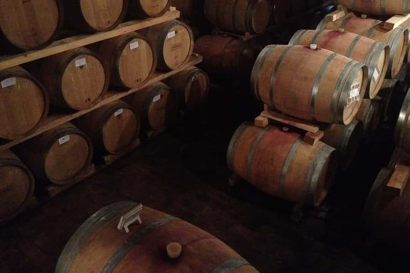 From Verona: Amarone Wine E-Bike Tour with Tasting - Electric Bikes Make the Hills Manageable