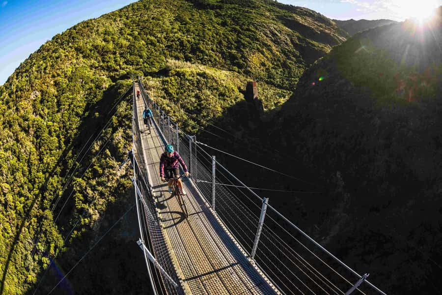 From Wellington: Remutaka Rail Trail eBike Tour - Starting in Wellington and reaching Kaitoke
