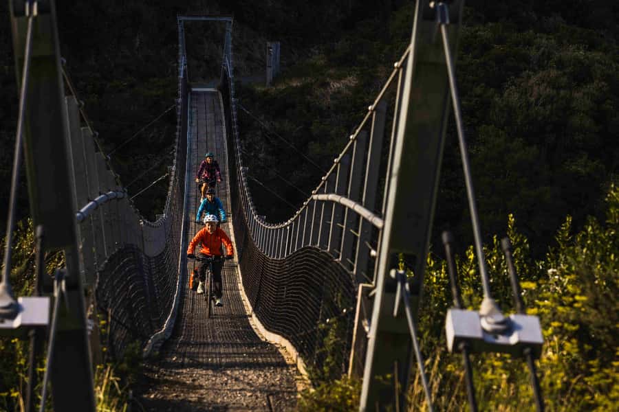 From Wellington: Remutaka Rail Trail eBike Tour - Tunnels, bridges, and railway engineering