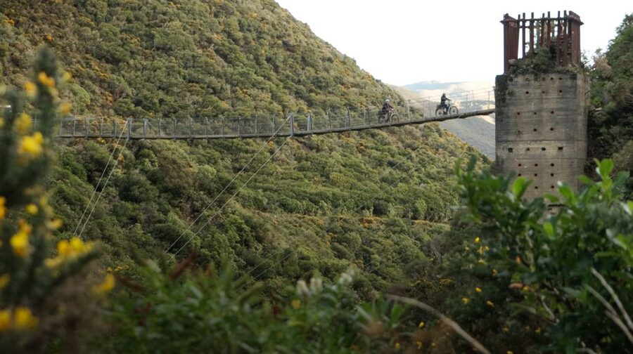 From Wellington: Remutaka Rail Trail eBike Tour - What the $131 price includes
