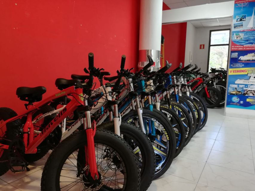 Fuerteventura: Explore the Area with a Bike Rental - Is $17 a good price?