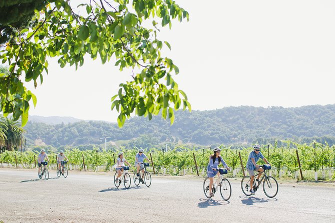 Full-Day Napa Winery E-Bike Tour (with Picnic Lunch) - What the $214 price really covers