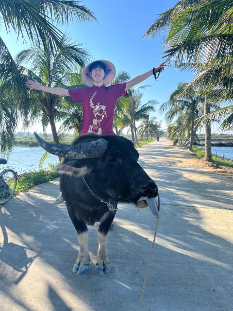 Funny day cycling, Buffalo riding and Basket boat - From Hoi An Post Office to the rice fields