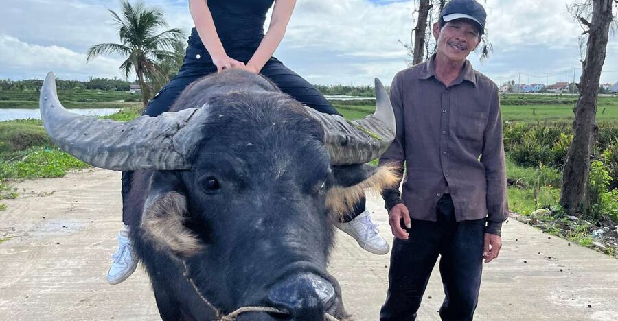 Funny day cycling, Buffalo riding and Basket boat - The water buffalo ride, a short but memorable thrill