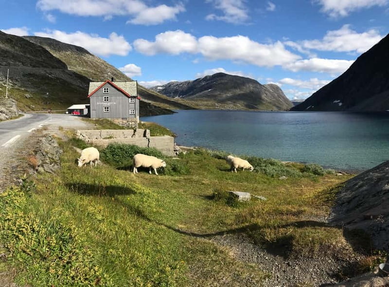 Geiranger Fjord: Downhill Self-Guided Bike Tour - Who should book this ride?