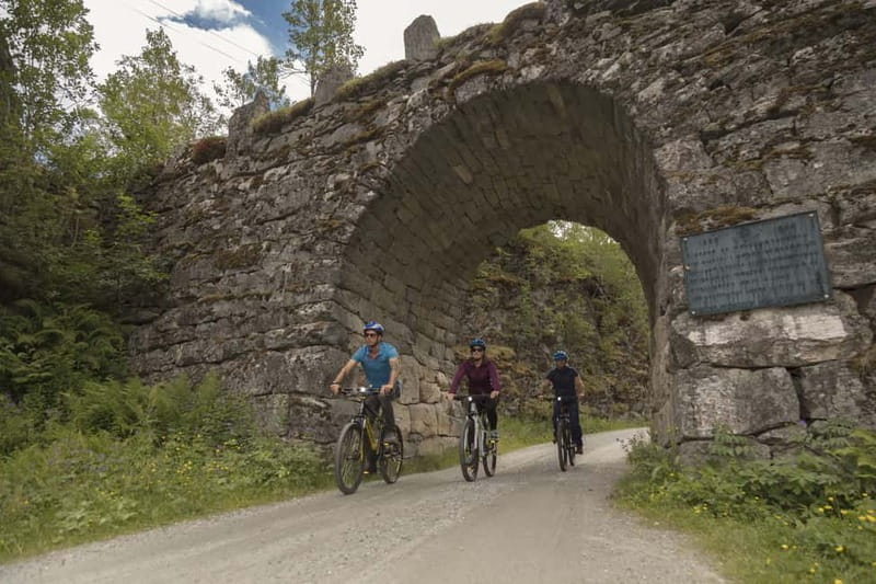 Geiranger Fjord: Downhill Self-Guided Bike Tour - The road down from 1,030 meters