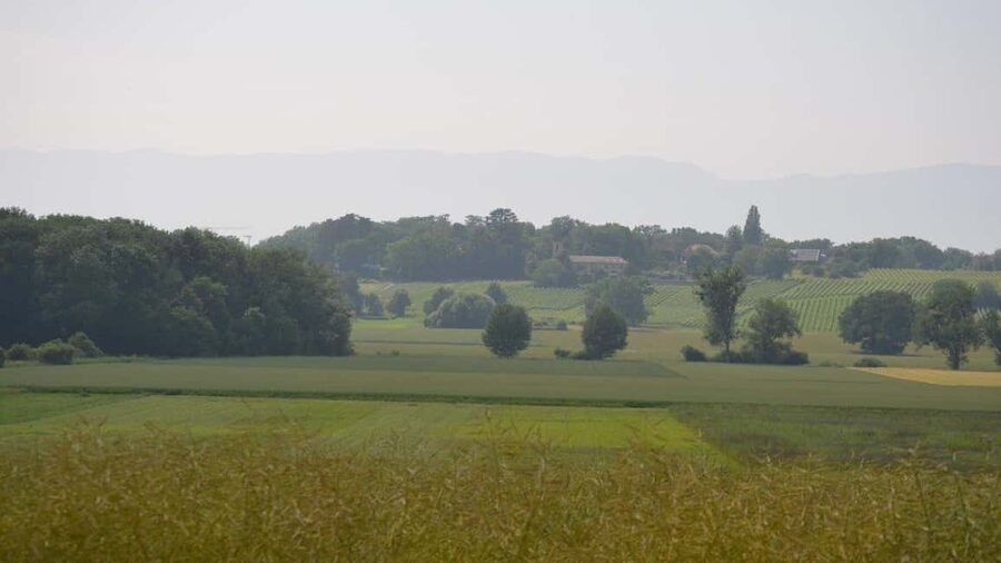 Geneva Countryside And Art Museum At A Castle Wine By E-Bike - Should you book this Geneva e-bike and wine tour?