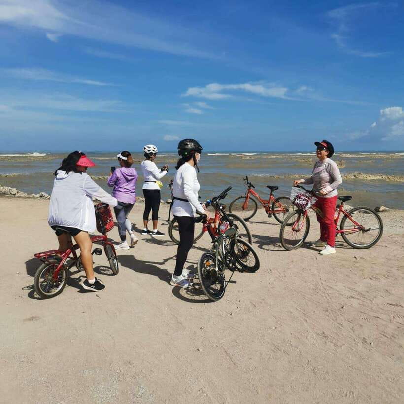 George Town: Balik Pulau Countryside Morning Cycling Tour - The 40-foot container artwork and other photo stops