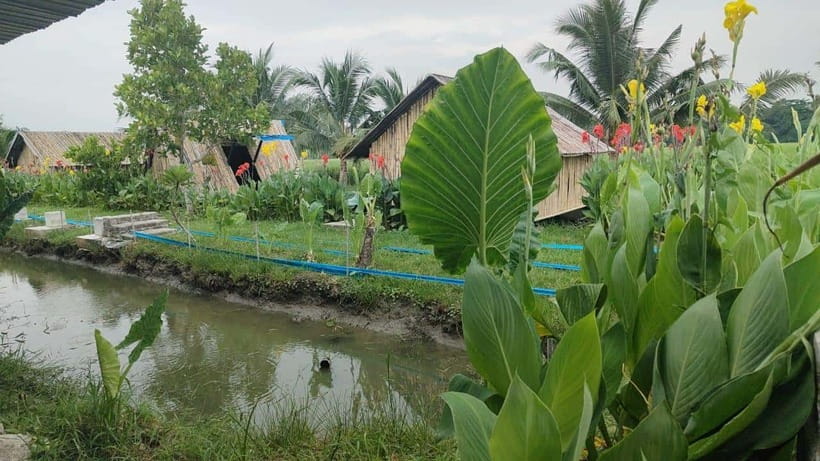 George Town: Balik Pulau Countryside Morning Cycling Tour - Morning tea, banana cake, and local flavors