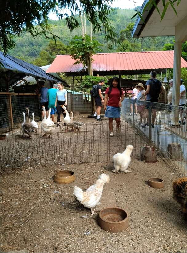 George Town, Penang: Malay Countryside Cycling - Why Balik Pulau makes a better cycling destination than George Town