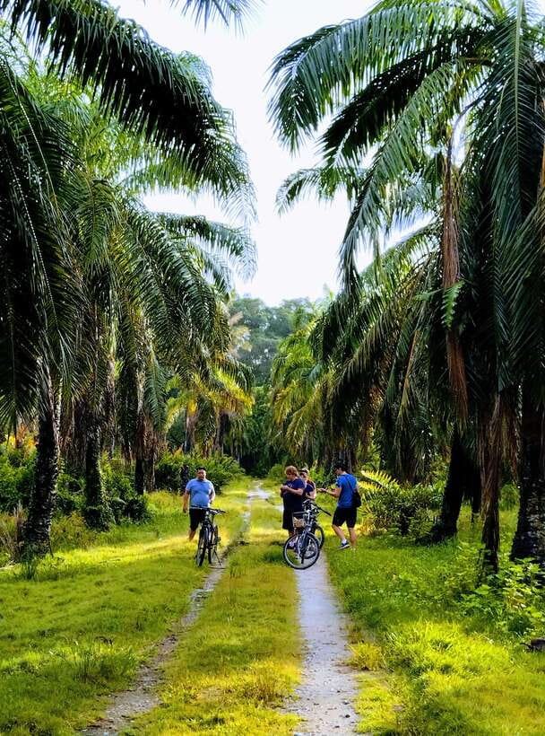 George Town, Penang: Malay Countryside Cycling - Quiet village roads and the first 40 minutes