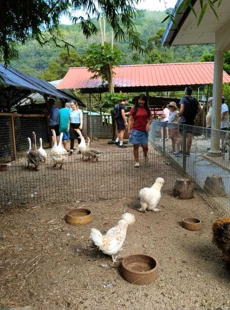 George Town, Penang: Malay Countryside Cycling - Local coffee, snacks, and a taste of rural Penang