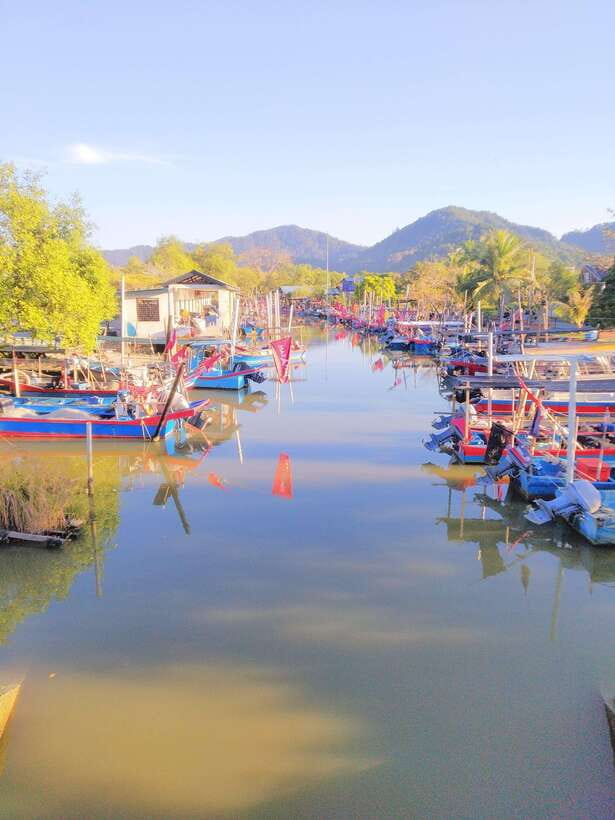 George Town, Penang: Malay Countryside Cycling - The farm visit and animal encounters