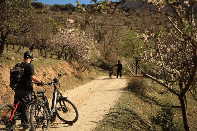 Granada: Nature, Wildlife and Authentic Villages E-bike Tour - Climbing above Granada and the Alhambra
