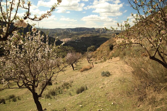 Granada: Nature, Wildlife and Authentic Villages E-bike Tour - A riverside meal that breaks up the ride