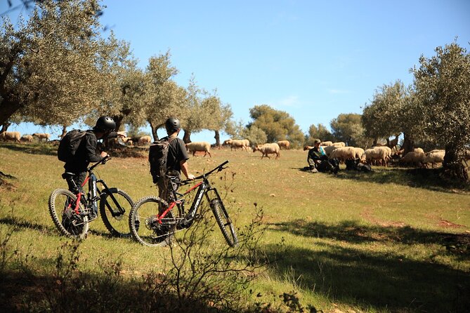 Granada: Nature, Wildlife and Authentic Villages E-bike Tour - Starting in Granada with a 15-minute safety briefing