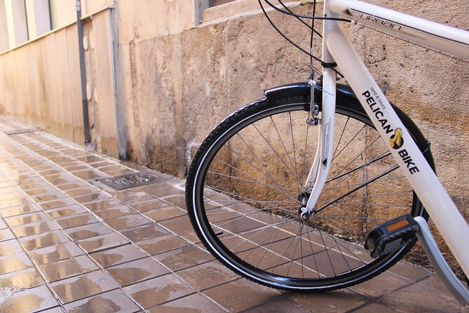 GRAND CITY Private Guided Tour on Bike, E-Bike, E-Step or Segway - The City of Arts and Sciences: Valencia’s modern face