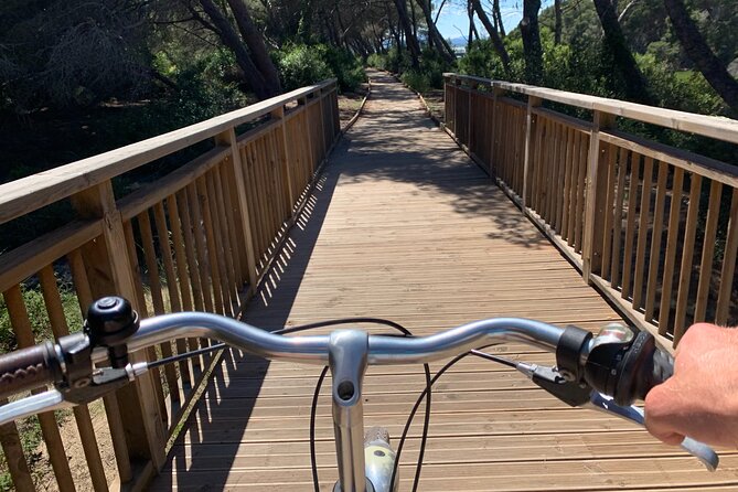 GRAND CITY Private Guided Tour on Bike, E-Bike, E-Step or Segway - A short stop at Oceanogràfic