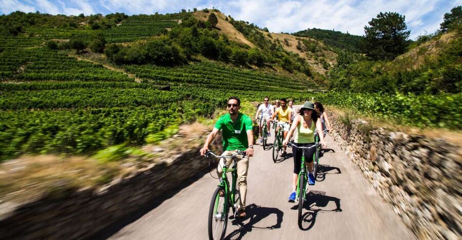 Grape Grazing: Wachau Valley Winery Biking Tour - Why this Wachau day trip works so well