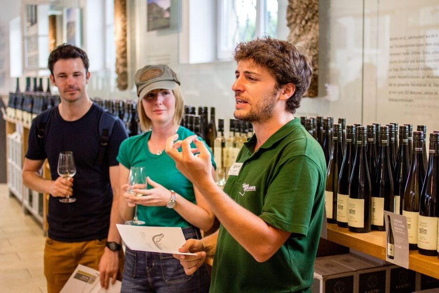Grape Grazing: Wachau Valley Winery Biking Tour - Dürnstein, castle ruins, and a useful choice