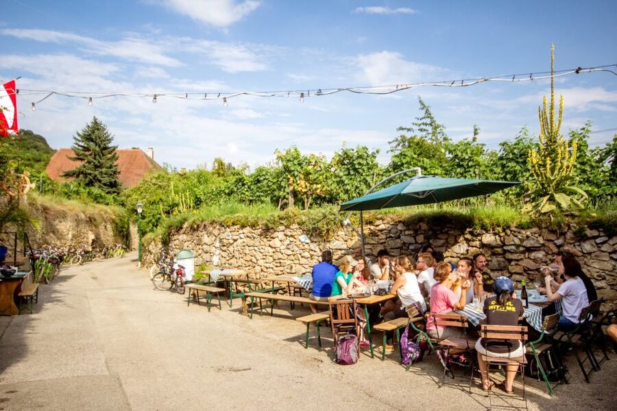 Grape Grazing: Wachau Valley Winery Biking Tour - Wine tasting with local producers
