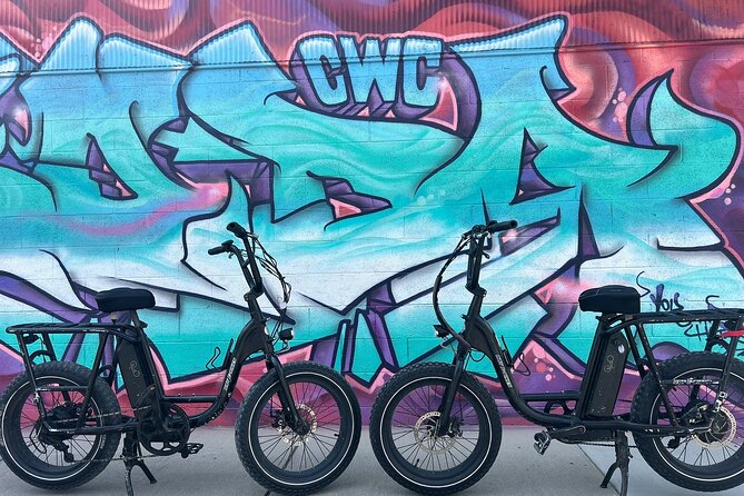 Guided Asheville E-bike Tour of River Arts, Mountains and Murals - Why this ride gives you a useful first look at Asheville