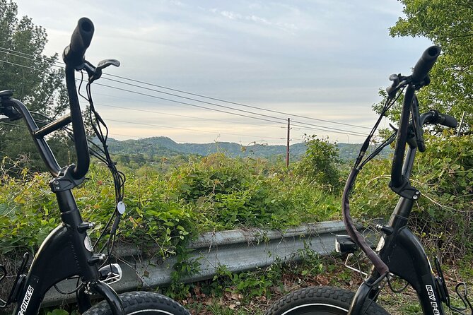 Guided Asheville E-bike Tour of River Arts, Mountains and Murals - French Broad River Park brings shade and open views