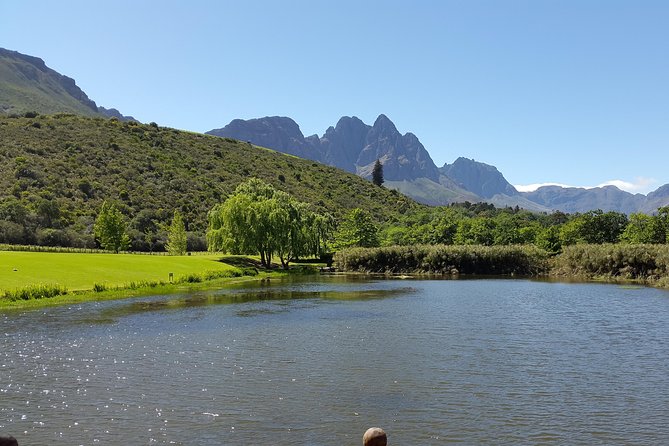 Guided Bike Tour of Stellenbosch - Is $73.90 good value?