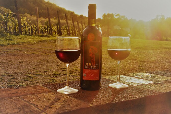 Guided E-Bike Tour with Wine Tasting from Lucca - Leaving town for the Tuscan countryside