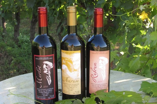Guided E-Bike Tour with Wine Tasting from Lucca - Is $131.82 a fair price?