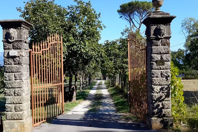 Guided E-Bike Tour with Wine Tasting from Lucca - Riding Lucca’s walls at an easy pace