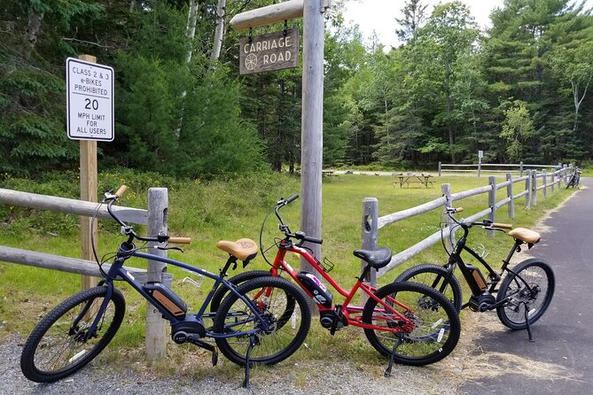 Guided Ebike Tour of Acadia National Park Carriage Roads - Eagle Lake and the long ride toward Jordan Pond